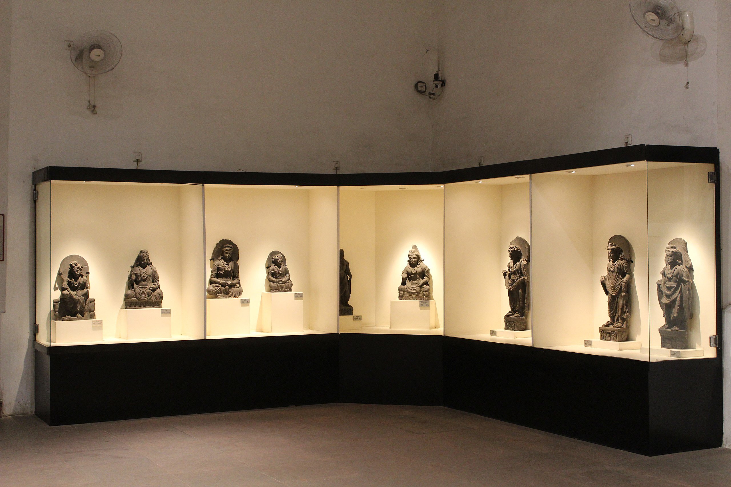 Lahore Museum exhibition